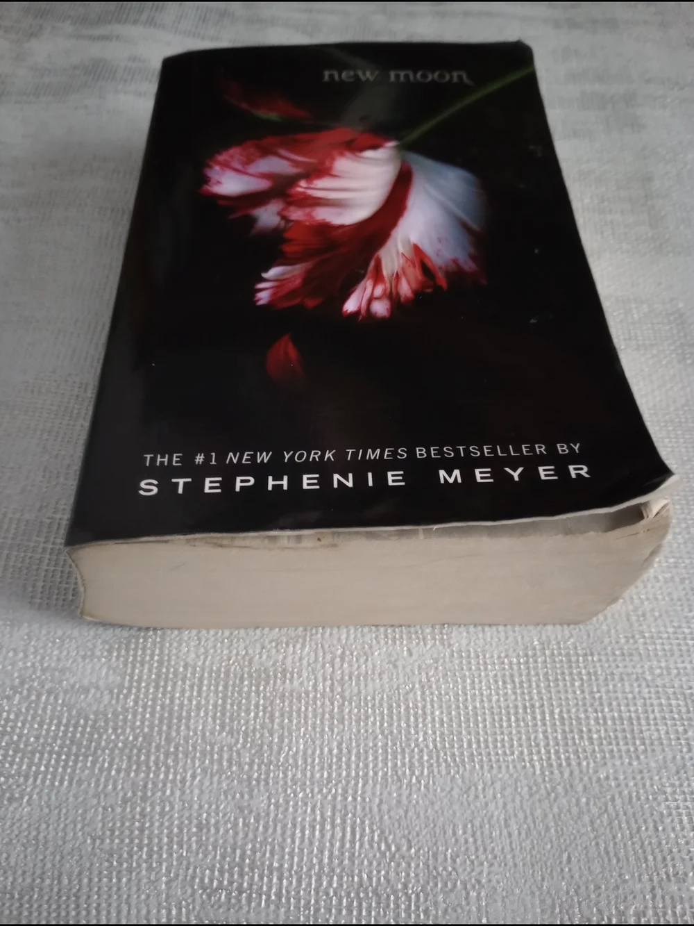 The Twilight Saga New Moon by Stephenie Meyer 2008 Trade Paperback) Good Cond.